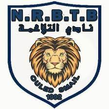 NRB电报队徽